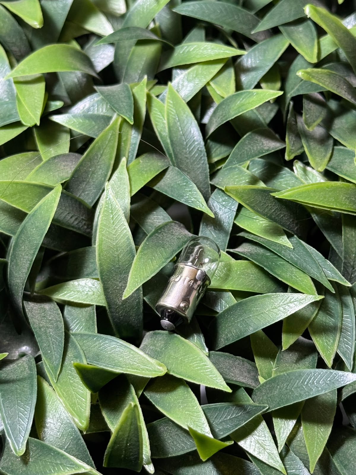 Lampara